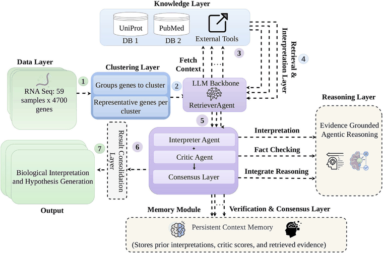 BIOGEN architecture: RNA-seq gene clusters pass through a retrieval layer over PubMed and UniProt, an interpreter agent, a critic ensemble with a consensus layer, and a persistent context memory before biological interpretation is produced